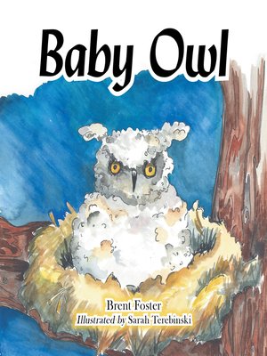 cover image of Baby Owl